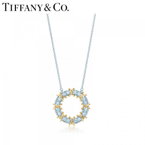 新品 Tiffany ティファニー ジャン・シュランバージェ 16 ストーン ペンダント 60875324 – HuhoLife
